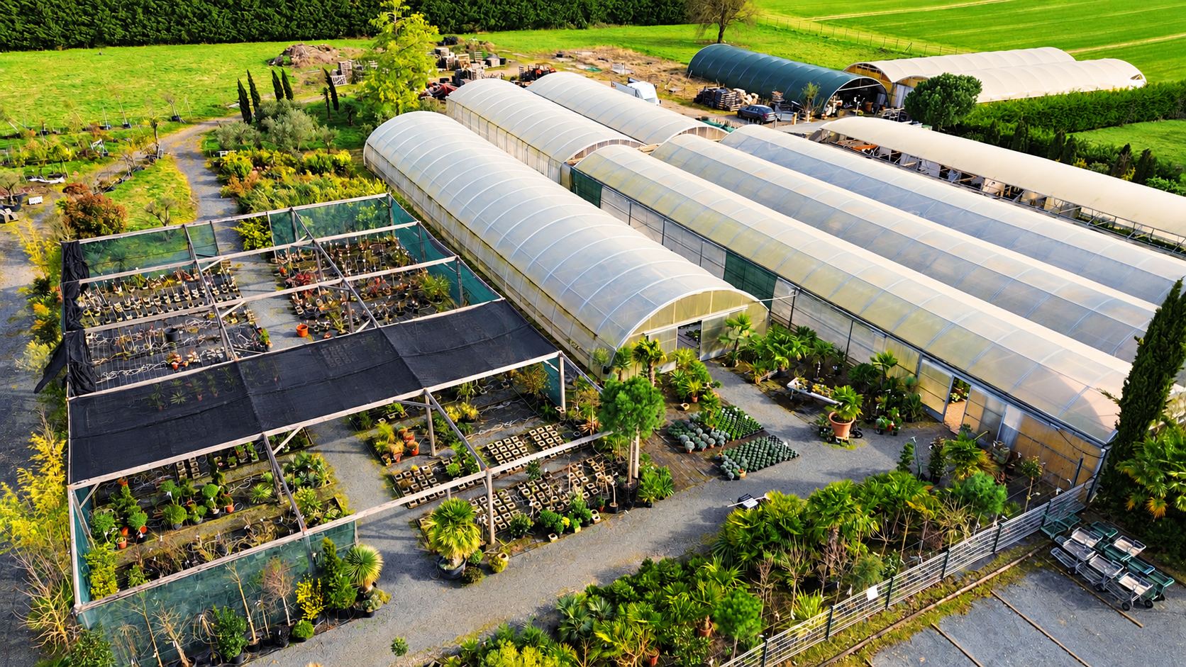Vue aérienne de la pépinière : serres et plantes en pot